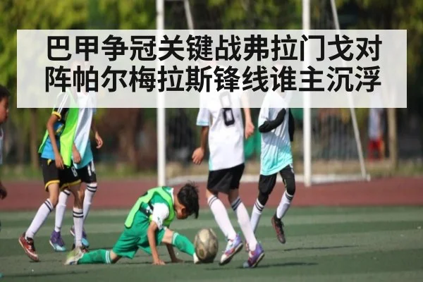 巴甲争冠关键战弗拉门戈对阵帕尔梅拉斯锋线谁主沉浮